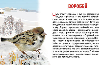 Cartes. Зимующие птицы России ; Cartes. Зимующие птицы России