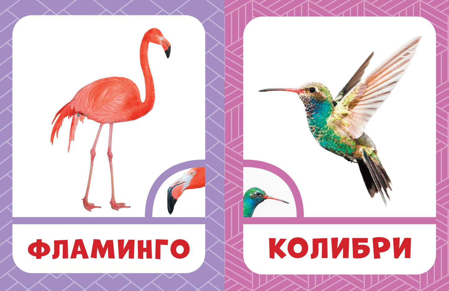 Мои способности: тренируем периферическое зрение у детей 7-14 лет