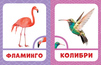 Мои способности: тренируем периферическое зрение у детей 7-14 лет