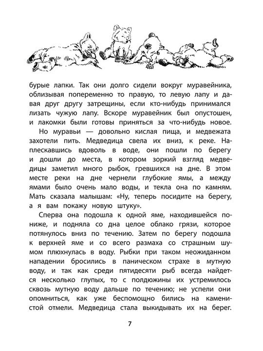 Сетон-Томпсон. Жизнь серого медведя.