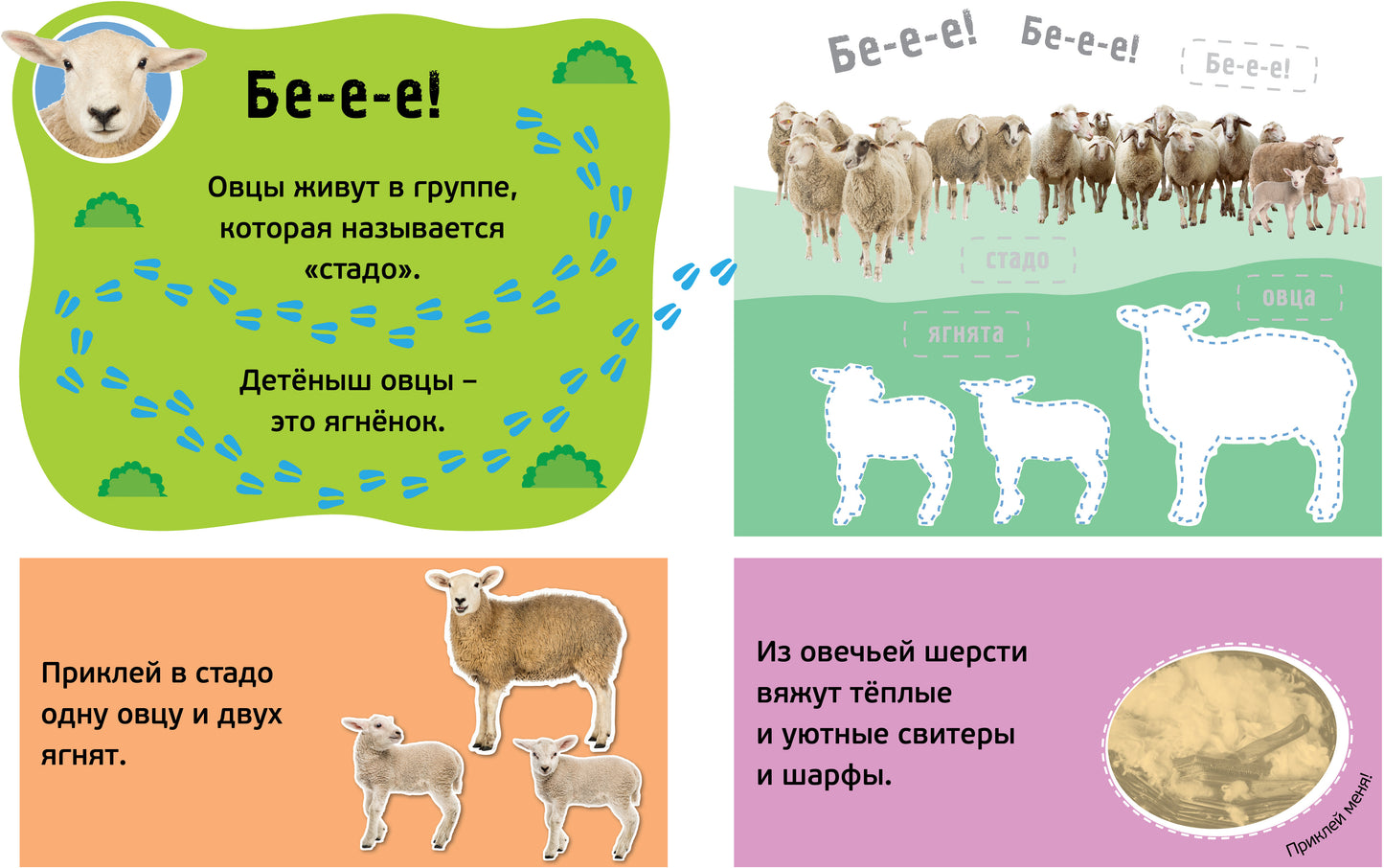 Mouais ! Les pitomes