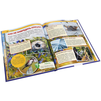 "УМКА". ПТИЦЫ (ЭНЦИКЛОПЕДИЯ А4). ТВЕРДЫЙ ПЕРЕПЛЕТ. БУМАГА МЕЛ., 48 стр., 197Х255 ММ. dans le cor.15шт