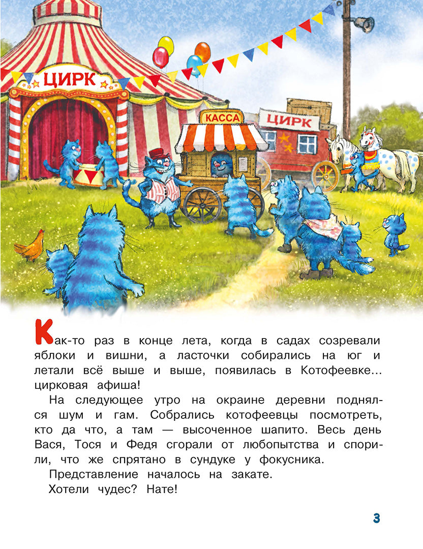 Zenuk. Цирк и не только