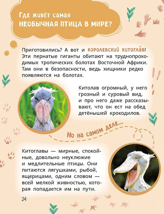 Лева и Лиза знакомятся с необычными животными