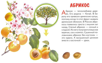 Карточки. Фрукты ; Карточки. Фрукты