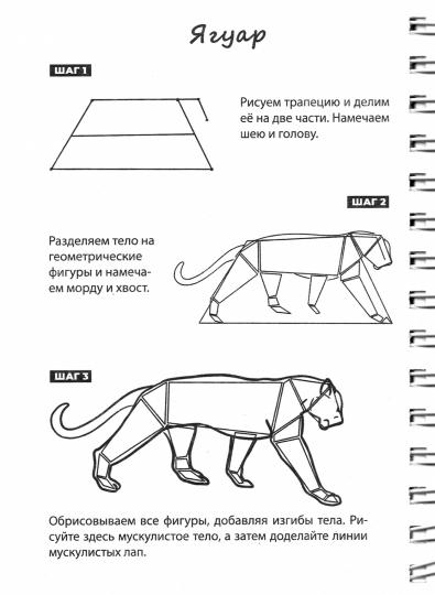 СКЕТЧБУК А5 УРОКИ РИСОВАНИЯ ПО ШАГАМ. ЖИВОТНЫЕ