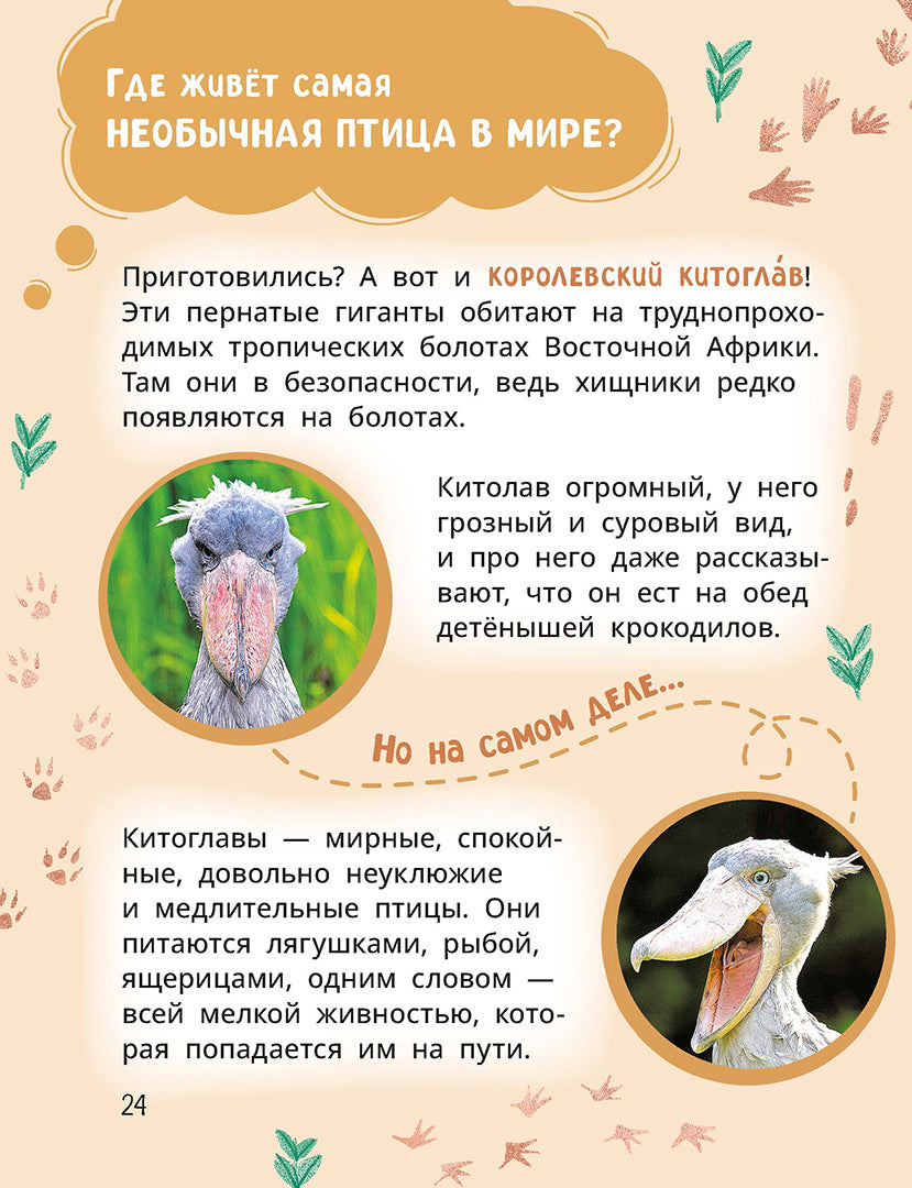 Лева и Лиза знакомятся с необычными животными
