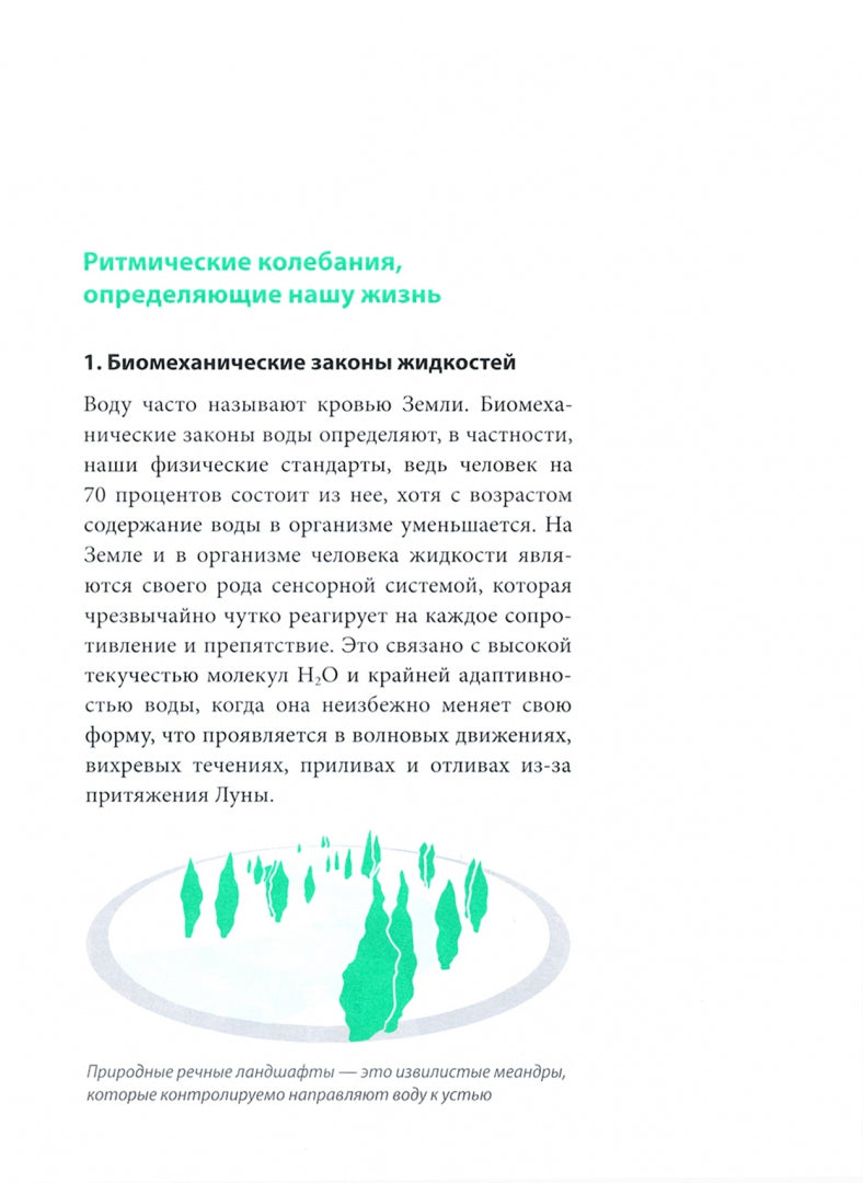 Сидеть - болеть: упражнения для спины, суставов и нервов