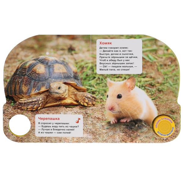 "Умка". Домашние питомцы. М.Дружинина (1 кн. 3 песенки). Формат: 152х185 мм, 8 карт. стр. в кор.24шт