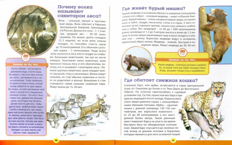 700 вопросов-700 ответов. Современная детская энциклопедия