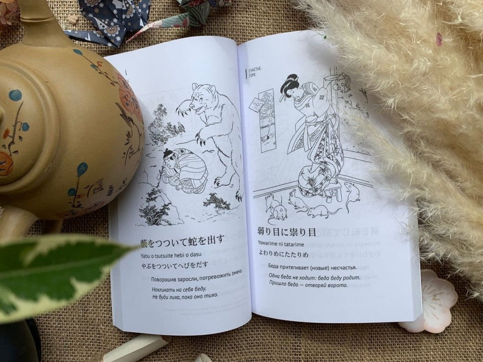 Posologies japonaises et analogues russes