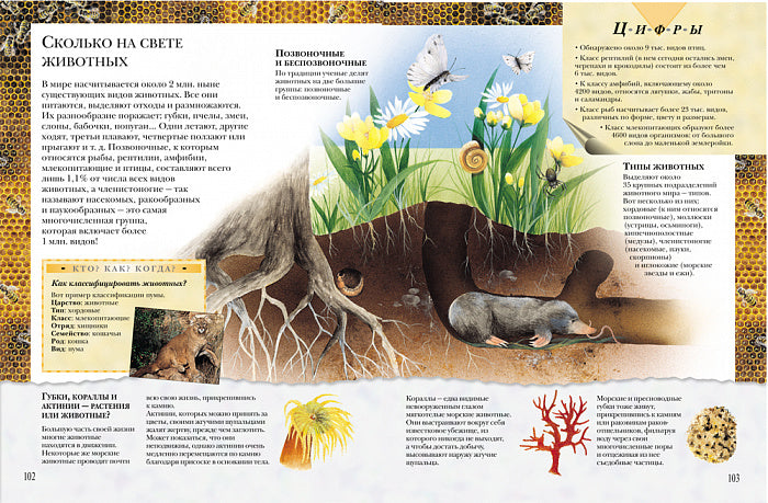 Большая книга 'Почему'
