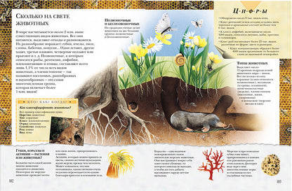 Большая книга 'Почему'