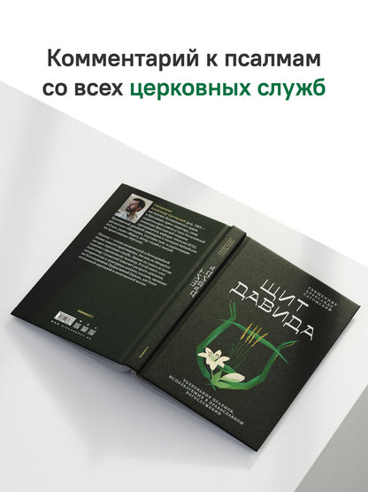 Щит Давида. Толкование псалмов, используемых в православном богослужении
