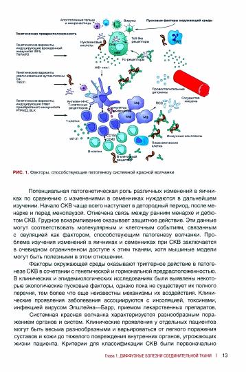 Биопсийная диагностика ревматических заболеваний. Руководство для врачей