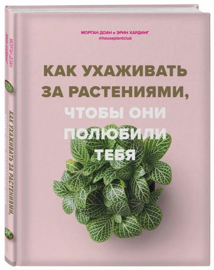 Как ухаживать за растениями, чтобы они полюбили тебя