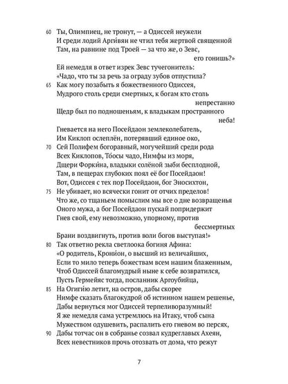 Одиссея. 2-е изд., испр