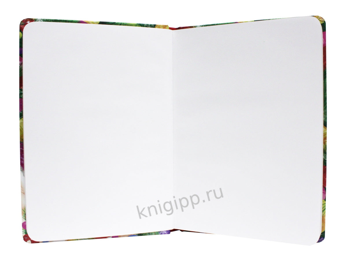 Скетчбук. Новогодний котик
