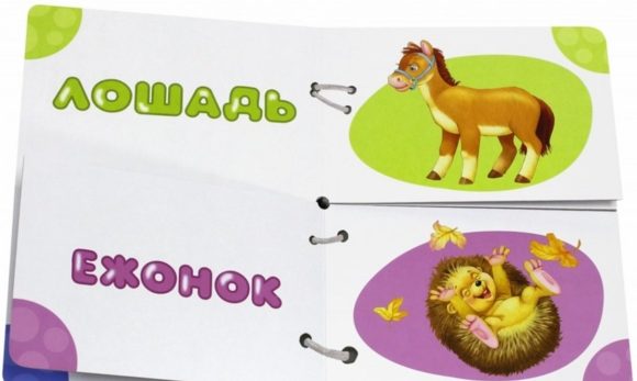 Книжка Найди половинки. Mamans et filles
