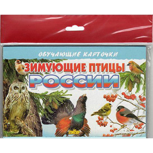 Карточки (европодвес). Зимующие птицы России ; Карточки (европодвес). Зимующие птицы России