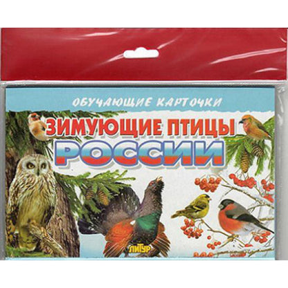 Карточки (европодвес). Зимующие птицы России ; Карточки (европодвес). Зимующие птицы России