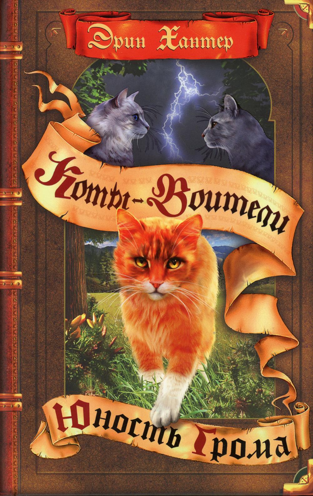 Коты-воители. Цикл "Начало племен". Юность Грома.