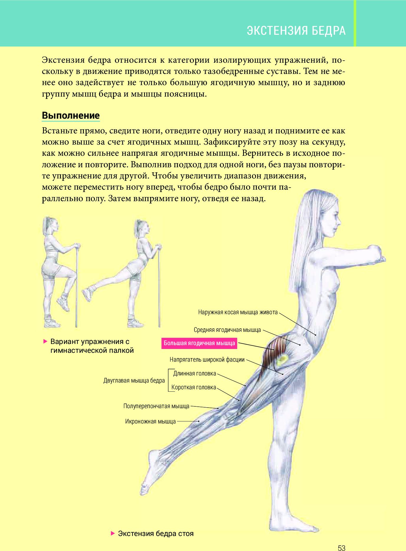 Анатомия силовых тренировок для женщин