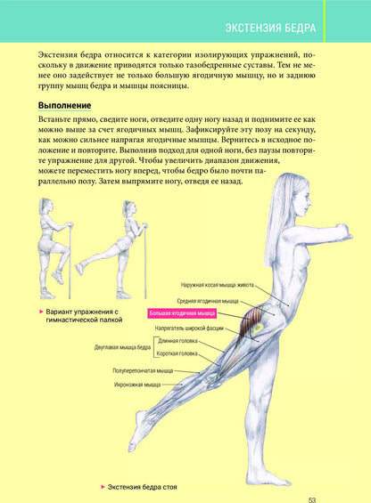 Анатомия силовых тренировок для женщин
