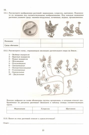Скворцов. Биология. 7 кл. 10 вариантов итоговых работ для подготовки к ВПР.