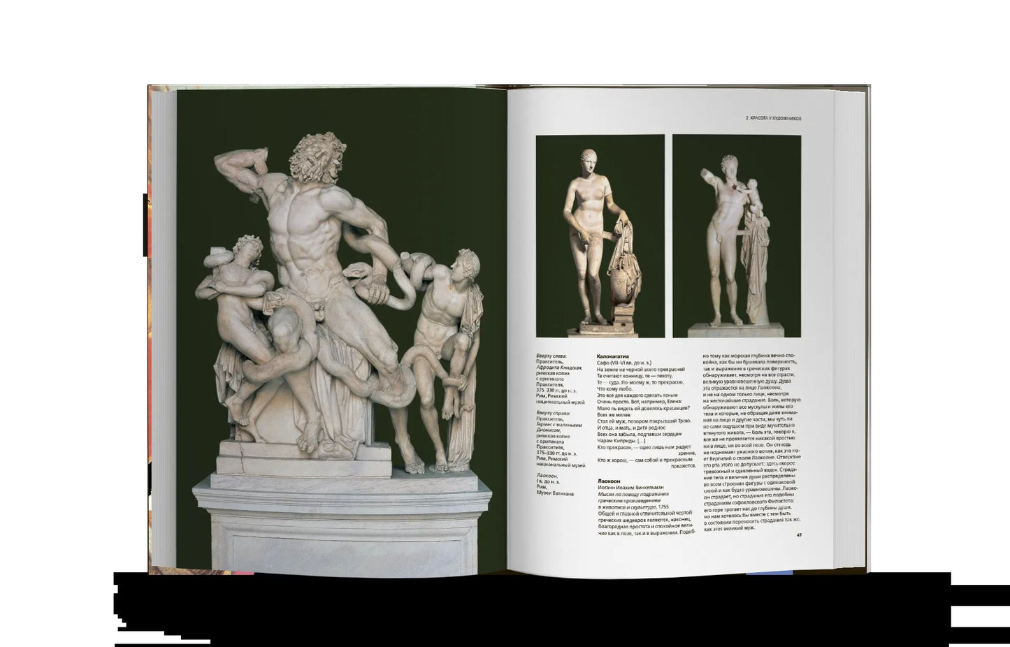 Histoire des crânes