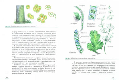 Пасечник. Биология. 5 кл. Бактерии, грибы, растения. Учебник. ВЕРТИКАЛЬ. (ФГОС).
