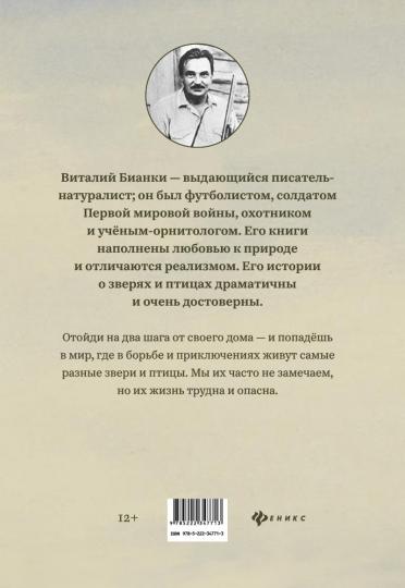 Сказки-несказки: рассказы, повести