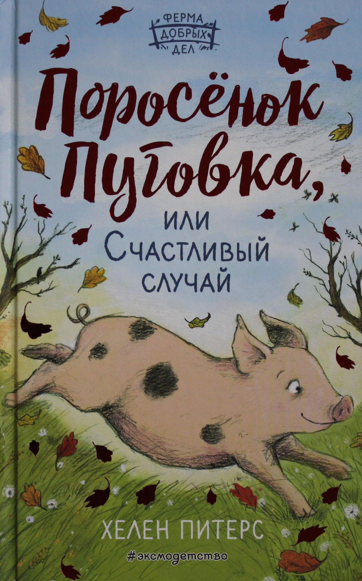 Поросёнок Пуговка, или Счастливый случай (#1)