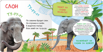 Книжки с окошками. Qu'est-ce que tu veux?