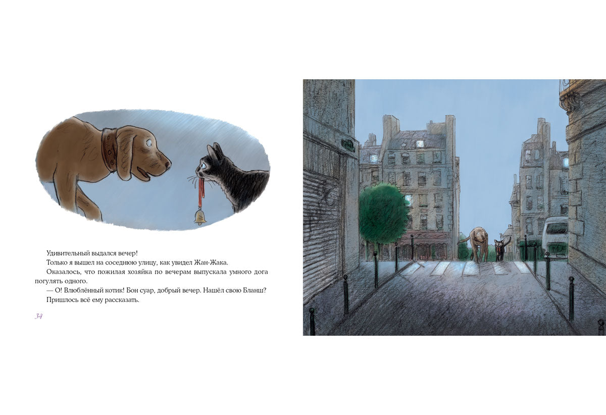 Нуаро и Бланш: [рассказ] / А. В. Oui; IL. A. Аринушкина. - М. : Нигма, 2015. - 48 с. : ил.