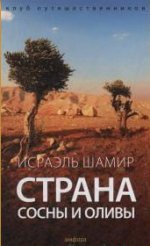 Страна сосны и оливы, или Неприметные прелести Святой земли