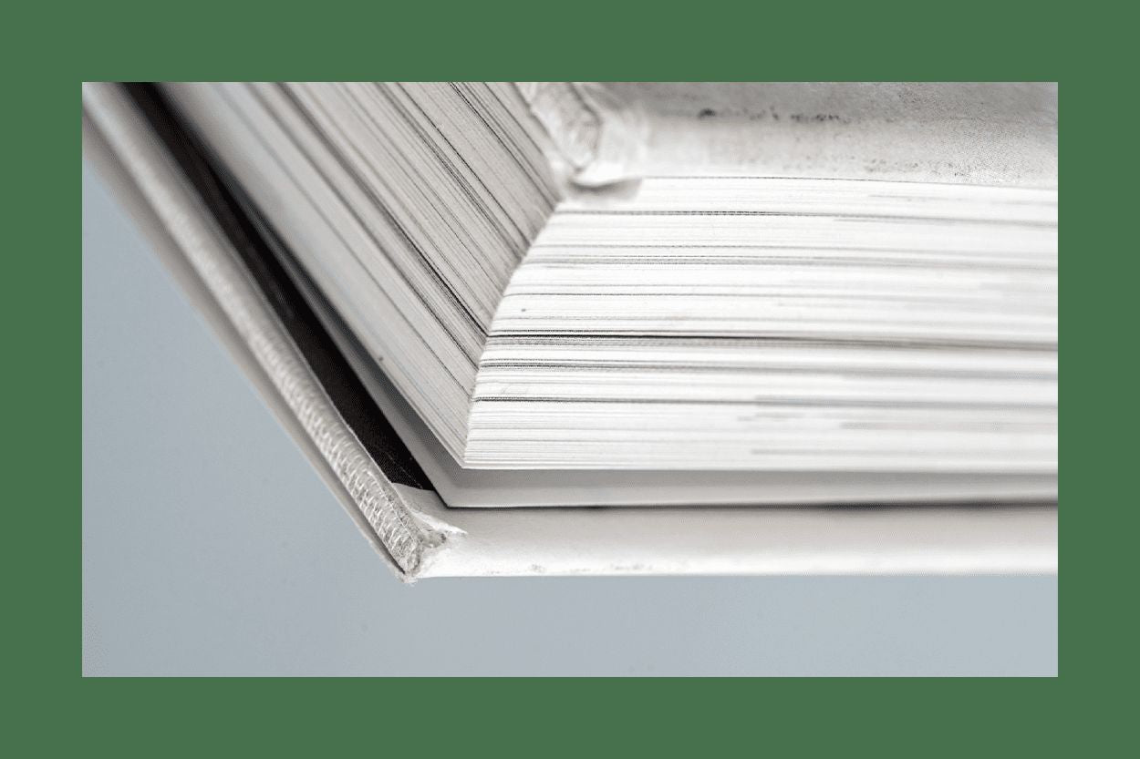 Ганди: Иллюстрированная биография (р1)