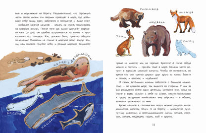 36.Фома.НиН.СахаLIN.Самый большой остров России (6
