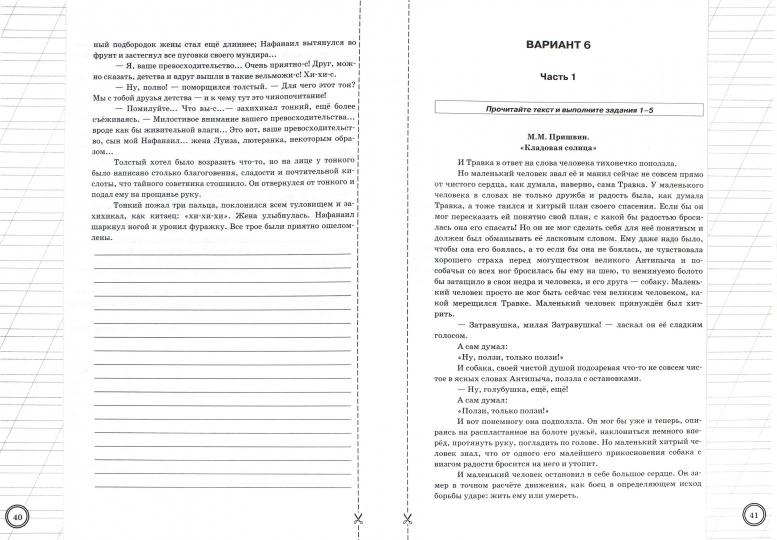 Литература. 6 класс. Всероссийская проверочная работа. Практикум по выполнению типовых заданий