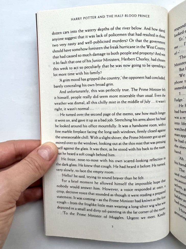 Harry Potter et le Prince de Sang-Mêlé JK Rowling Garri Potter et Prince-Polukrovka D.K. РоульING / Книги на английском языке