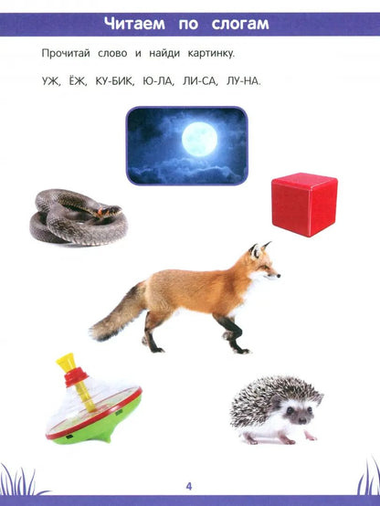Энциклопедия дошкольника: 5-6 лет