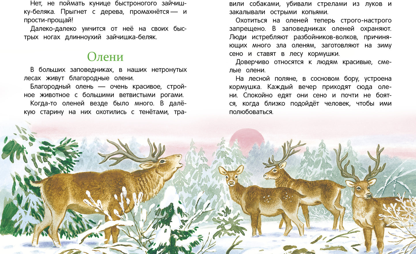 Рассказы о природе. Classement classique