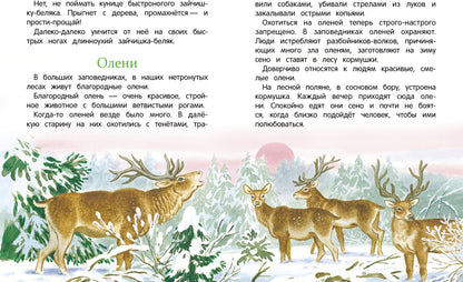Рассказы о природе. Classement classique