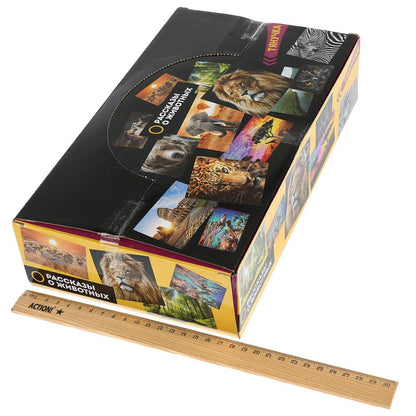Jouet en plastique pour dinosaure, 12,7-20 cm, 6 pouces, 36 pouces/écran, ESPAGNE, jusqu'à 24 pouces, en cor.10 pouces