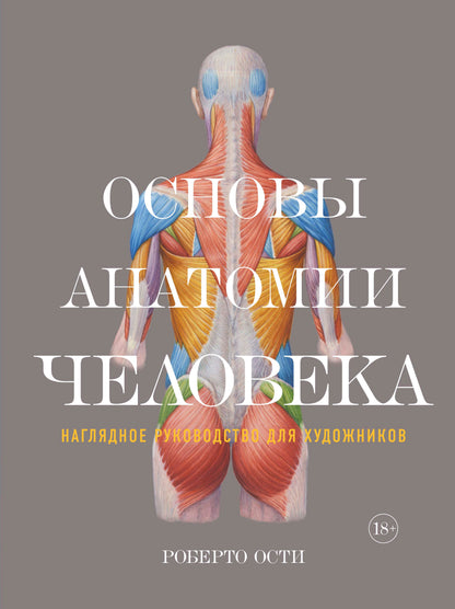Основы анатомии человека. Наглядное руководство для художников