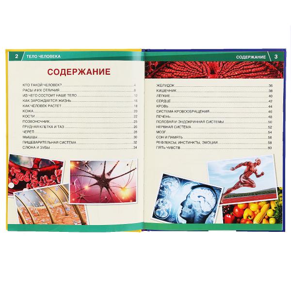 "УМКА". ТЕЛО ЧЕЛОВЕКА. 365 ФАКТОВ. (ЭНЦИКЛОПЕДИЯ А4). ТВЕРДЫЙ ПЕРЕПЛЕТ. БУМАГА МЕЛОВАННАЯ в кор.14шт