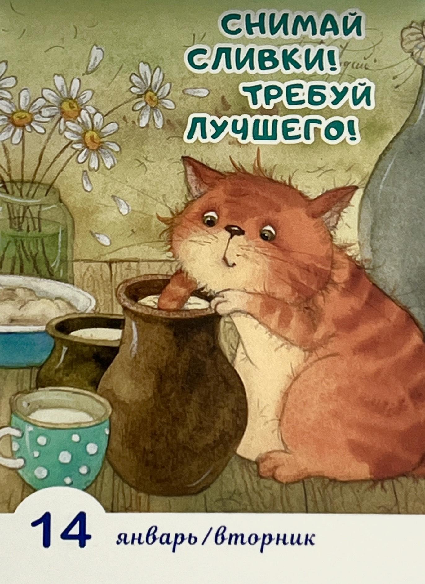 Календарь 2025 Отрывной календарь Календарь для исполнения желаний