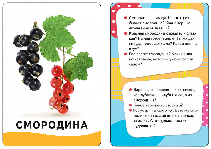 Овощи, фрукты, ягоды (Разв. карточки 0+)