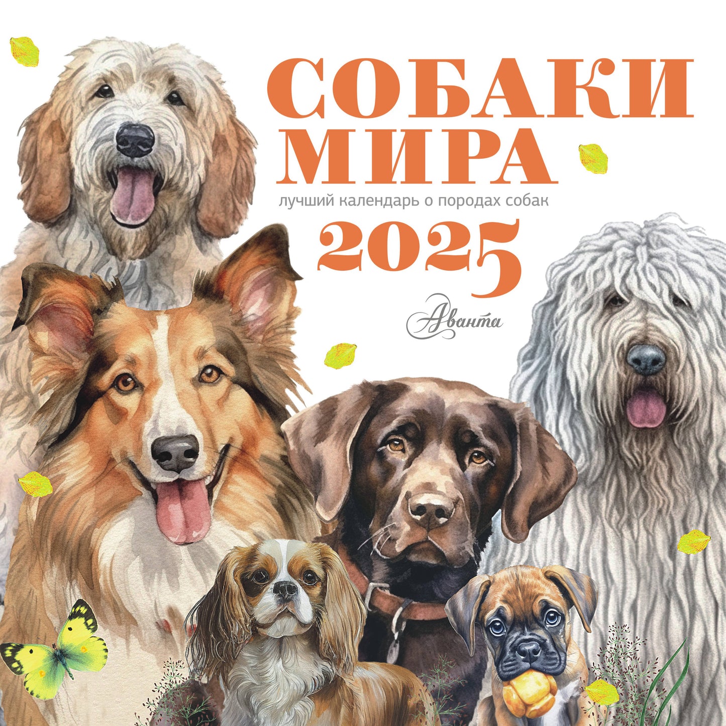 Собаки мира. Calendrier pour les enfants pour 2025