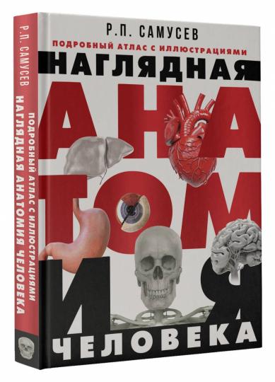 Наглядная анатомия человека. Atlas détaillé des illustrations